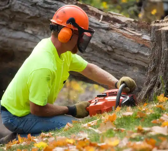 tree services New Bloomfield